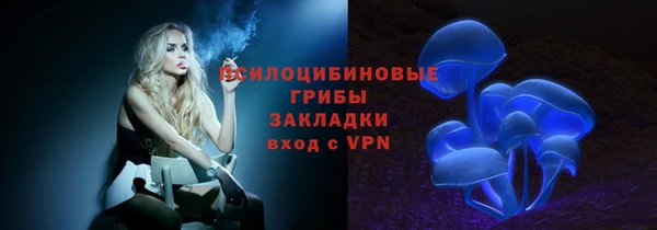 эйфоретик Печоры