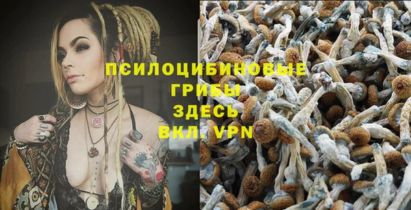 МДПВ Абдулино