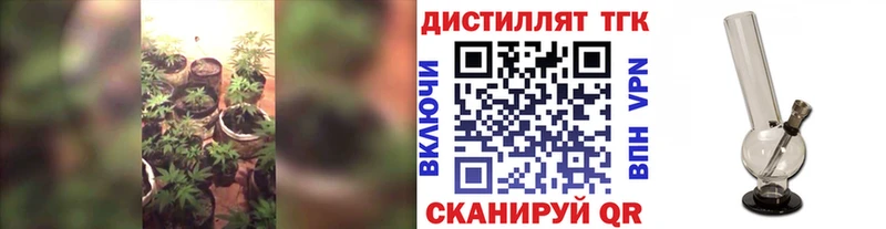 даркнет клад  Аткарск  ТГК вейп 